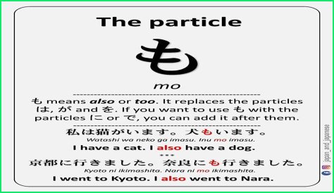 Discover The Meaning Of 